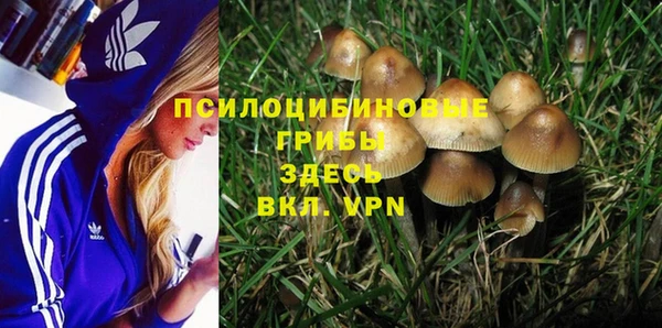 МДМА Новодвинск