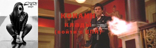 мет Новозыбков