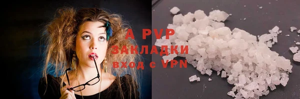шишки Нея