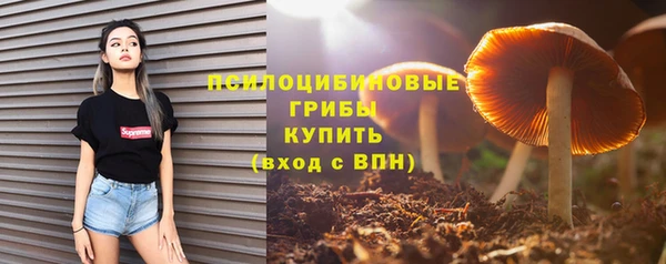 шишки Нея