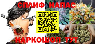 сатива Малгобек