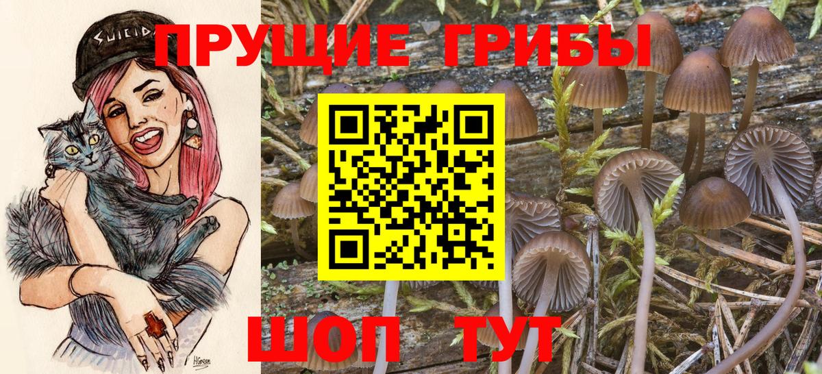 Соликамск  Галлюциногенные грибы Magic Shrooms  Вход с VPN 