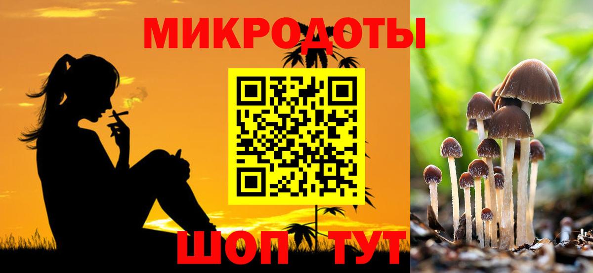 Псилоцибиновые грибы Cubensis Соликамск